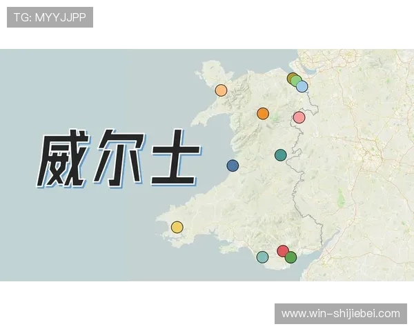 世界杯英文简称的变化趋势及未来可能的发展方向探讨